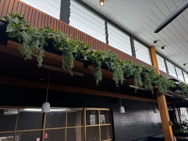 faux hanging plants at albion rooftop bar