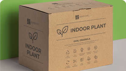 Cardboard box labeled "Indoor Plant" with detailed care instructions for a Ficus Chasara.