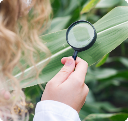 Close-up of a hand holding a magnifying glass over a green leaf, examining its details.