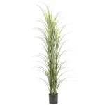 Premium Potted Artificial Long Grass (Yucca Grass / Reed Grass) 180cm UV Resistant