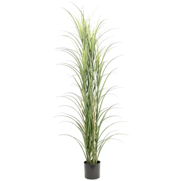 Premium Potted Artificial Long Grass (Yucca Grass / Reed Grass) 180cm UV Resistant