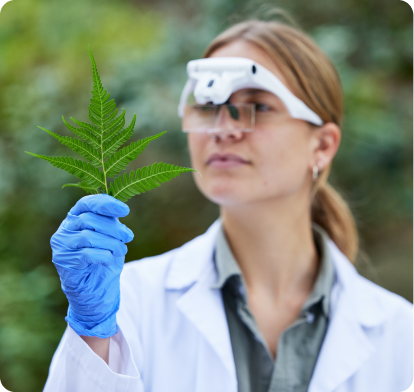Scientist in a lab coat holding a green leaf outdoors, suggesting a botanical study.