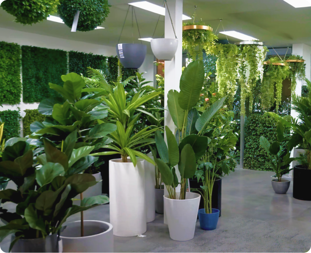 Indoor space with a variety of potted plants, including floor and hanging arrangements.