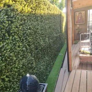 The Ultimate Fence Upgrade: Stylish & Maintenance-Free GreeneryTEST
