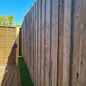 From Dull to Vibrant: A Stunning Vertical Garden TransformationTEST