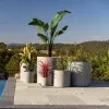 Grey Terrazzo Planters in Melbourne Large Planter Pots