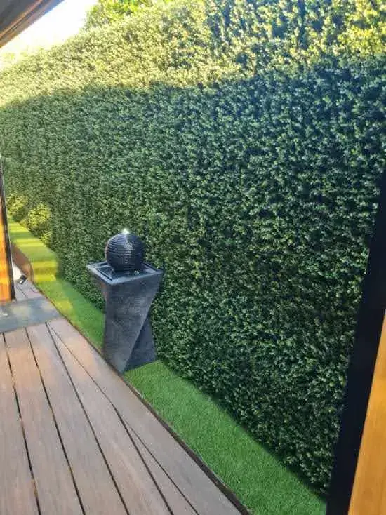 Buxus hedge panels on top of wooden fence