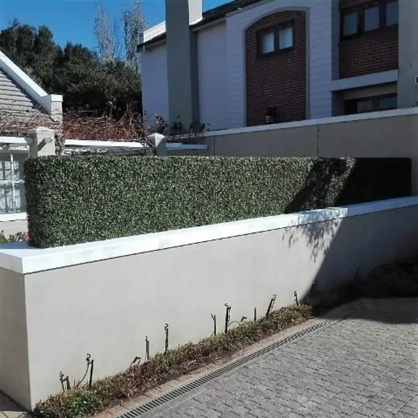 instant hedge hedge box fence