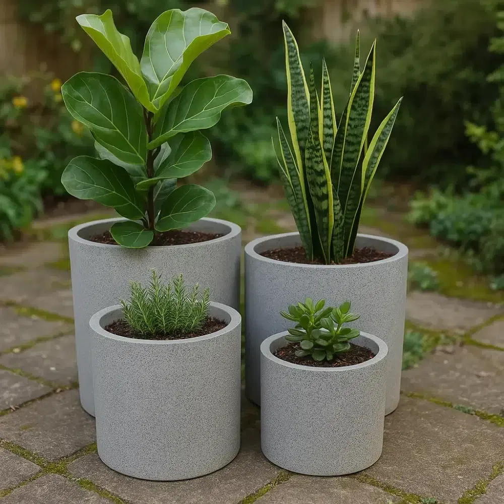 planters with plants (1)