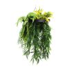 Black Framed Roof Hanging Disc With Bright Tropical Folaige Mix and Draping Ferns 40cm UV Resistant