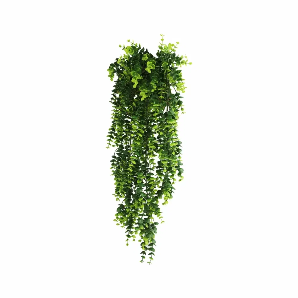 1240FR (1)