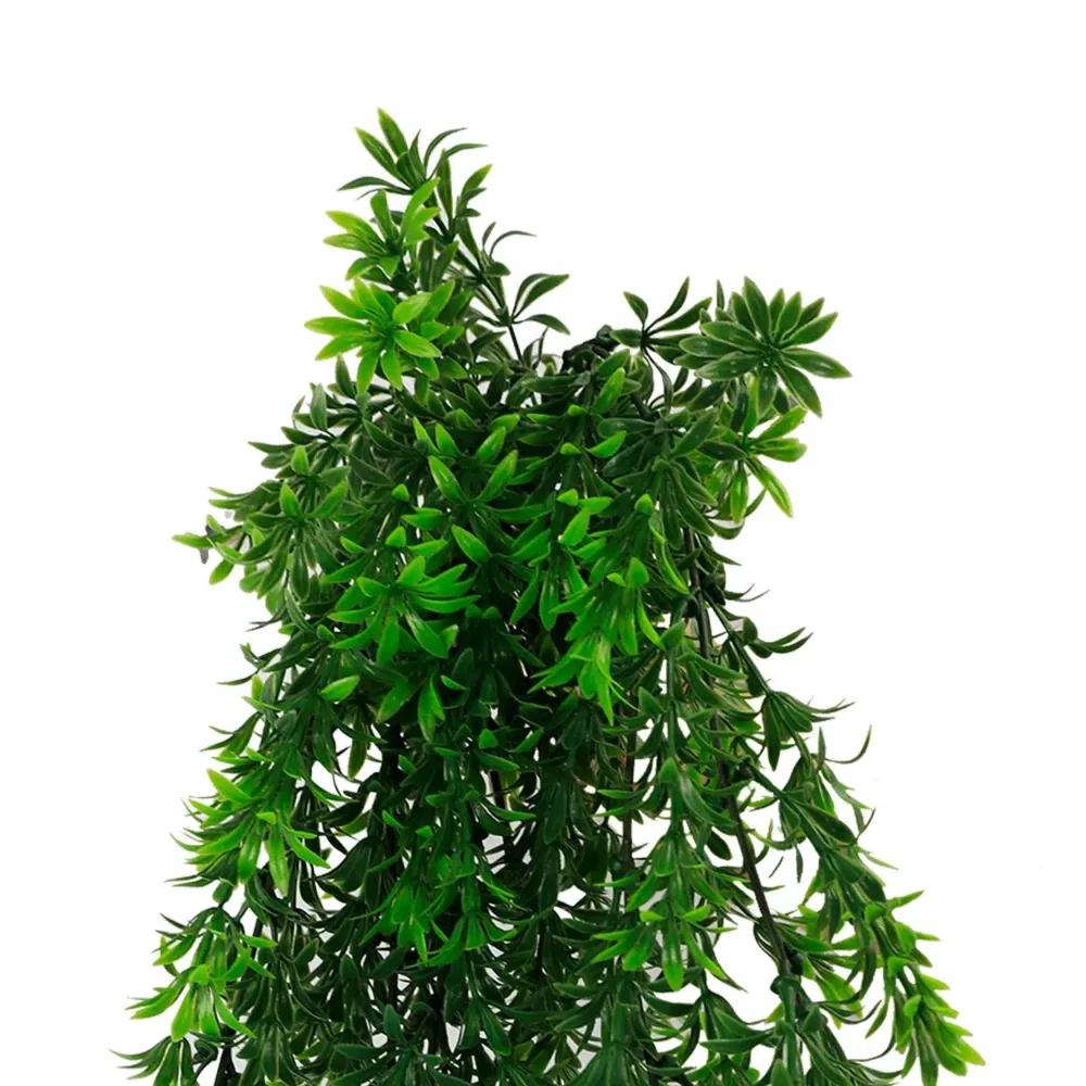 1241FR (2)
