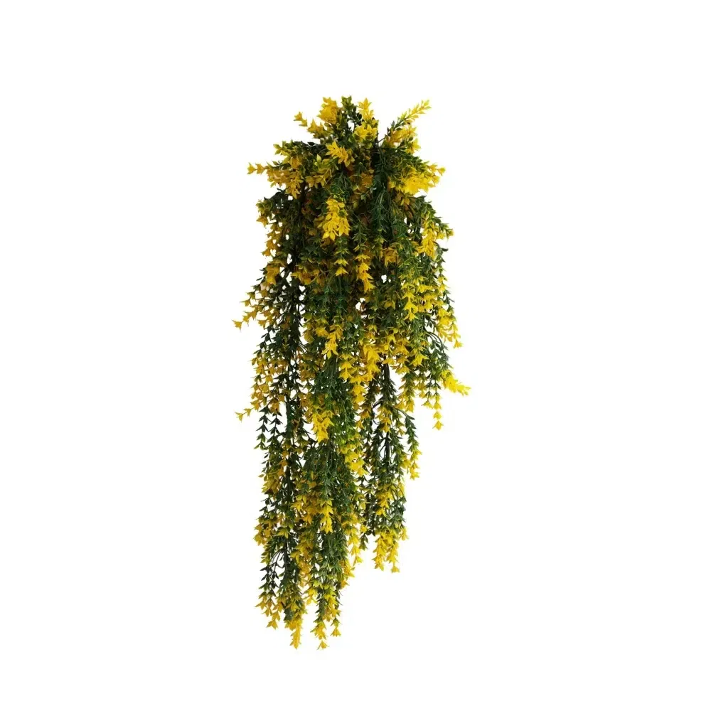 1243FR (1)