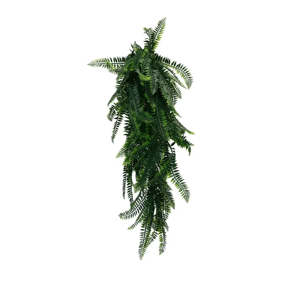 1244FR (1)