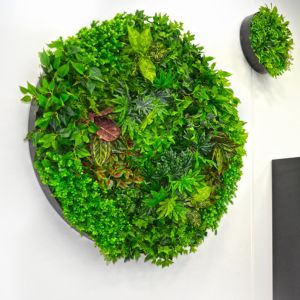 Green Wall Discs & Wall Art