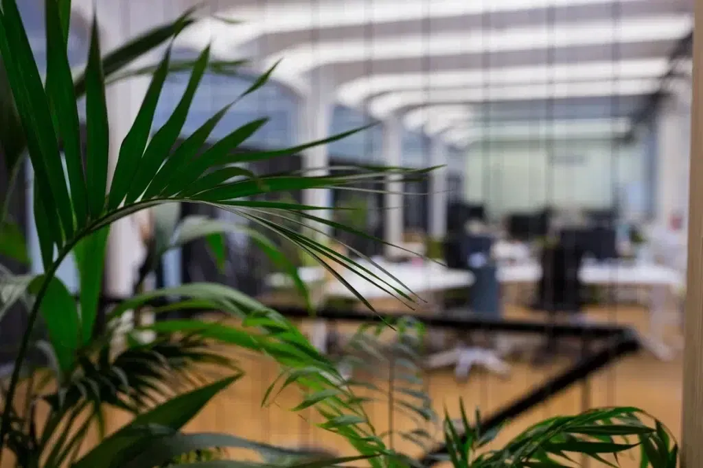 close up pot faux plants in an office