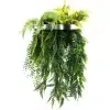 hanging artificial plant disc white bg