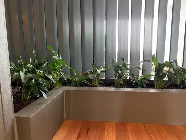 office with artificial monstera split leaf philodendron