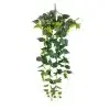 philodendron trailing garland 110cm full