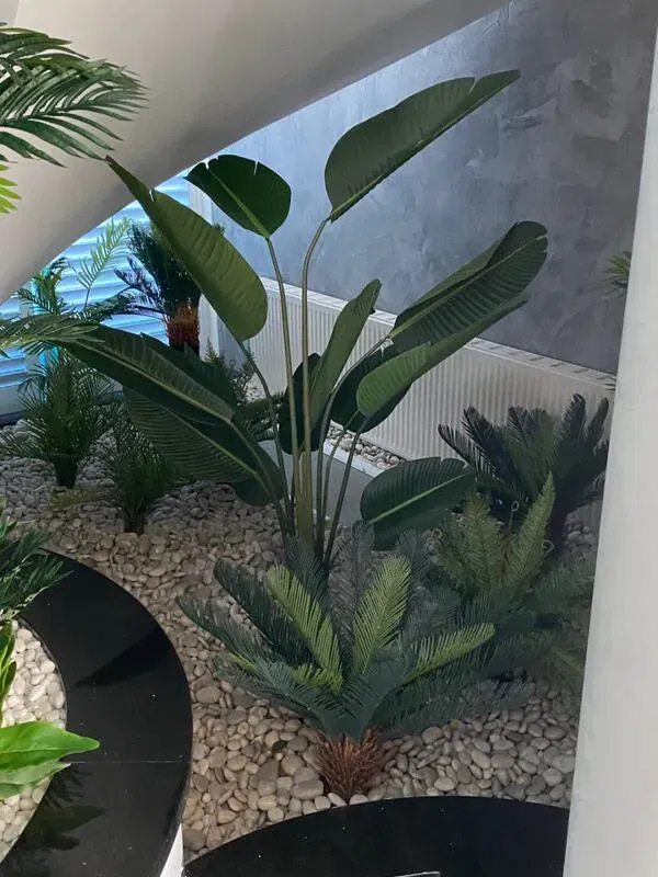 Artificial potted wide leaf birds nest fern