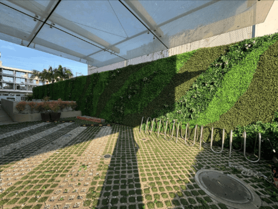 image2 (1)