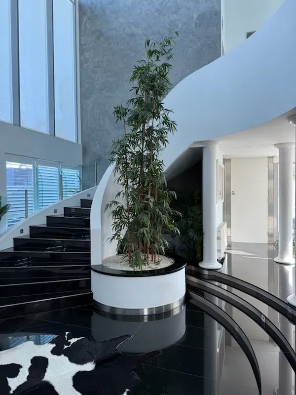 Large plant near the stairs Petterson Lakes