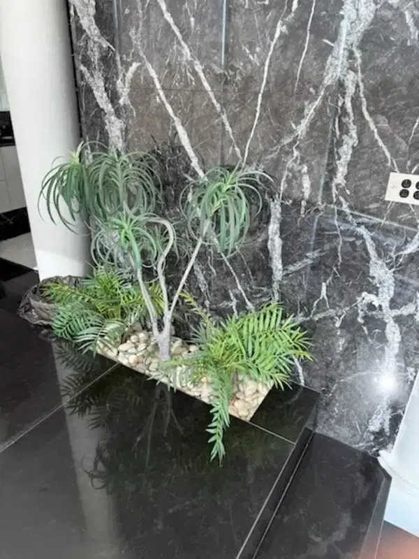 Potted plant in bad condition Petterson Lakes