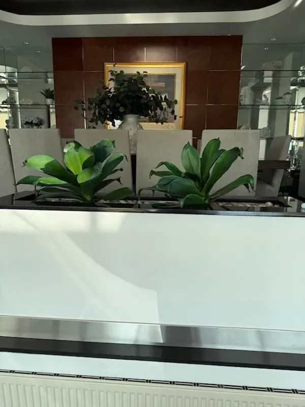Potted real plants in bad condition Petterson Lakes