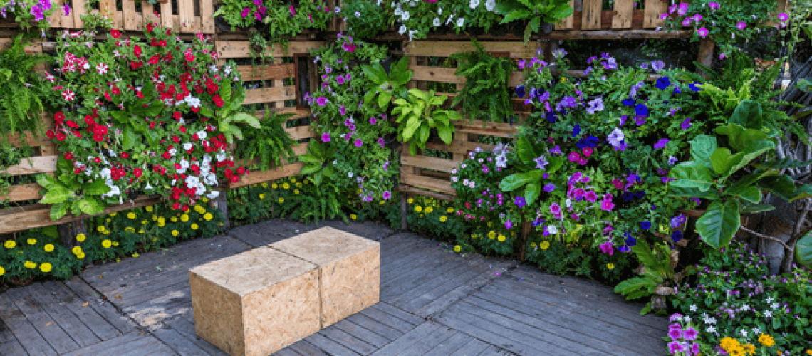 Maintaing a vertical garden in the home or for events - garden maintenance tips
